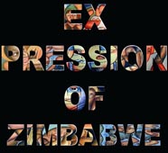Logo de l'exposition EXPRESSION OF ZIMBABWE